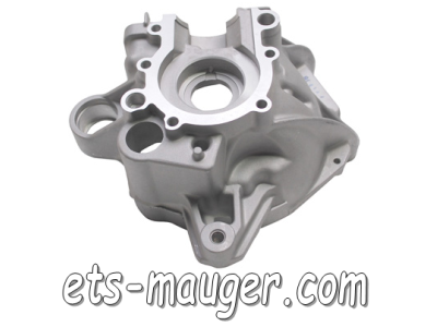 piece detachée mauger Carter moteur droit Booster Bw's