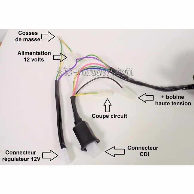 Allumage électronique 12 volts complet 102 103 104 gros cône (kit)